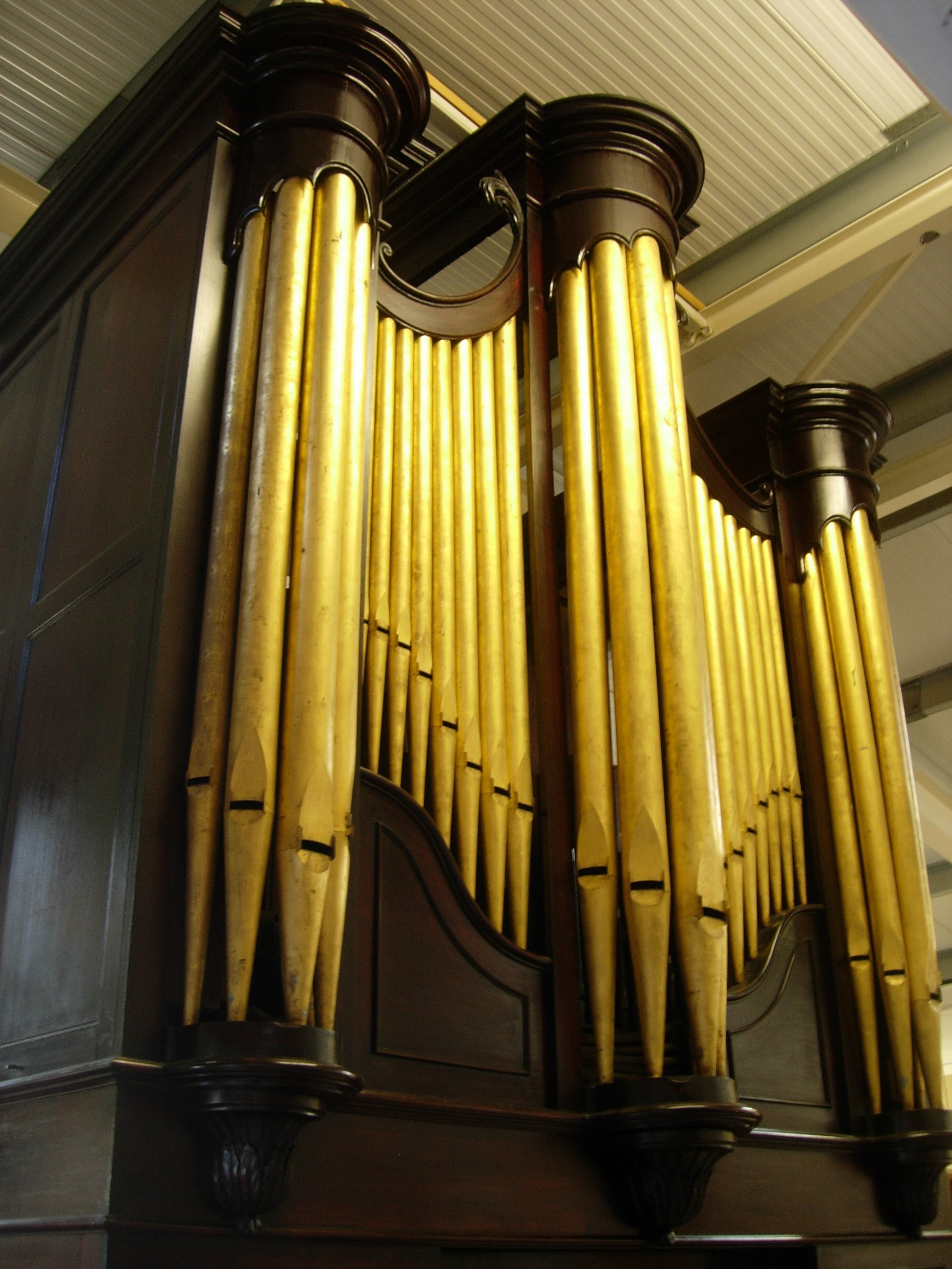 organ-4.jpg